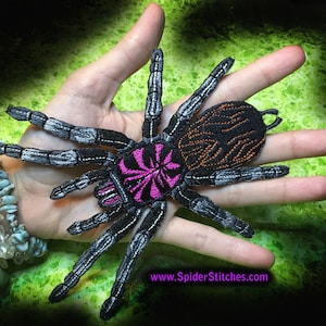 May include: A black and pink tarantula spider embroidered patch with orange details. The patch is shown on a hand, with the text "www.SpiderStitches.com" below it.