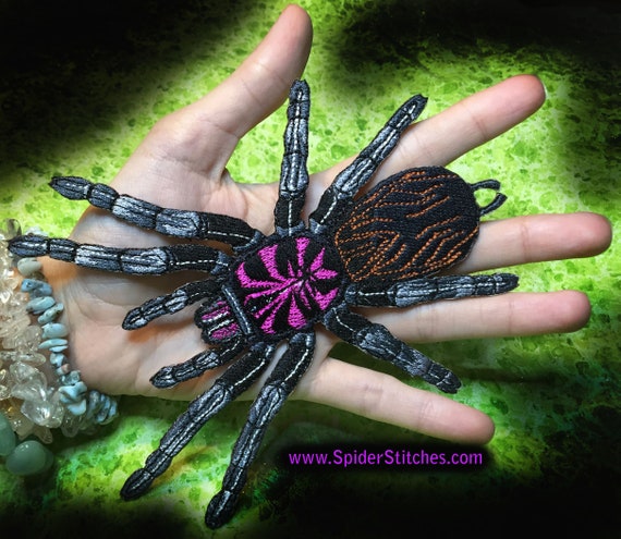 Colombian Lesser Black Tarantula Spider Iron on Patch Xenesthis