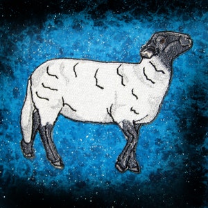 Könnte beinhalten: Ein weißes Schaf mit schwarzen Markierungen an Kopf, Beinen und Schwanz. Das Schaf steht auf einem blauen Hintergrund mit weißen Flecken.