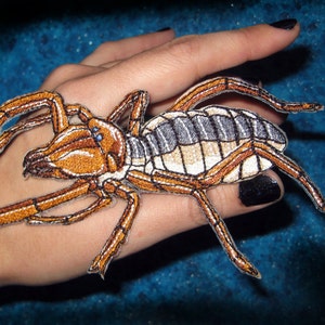 Solifugae Camel Spider Wind scorpions Sun spider Iron on Patch image 1