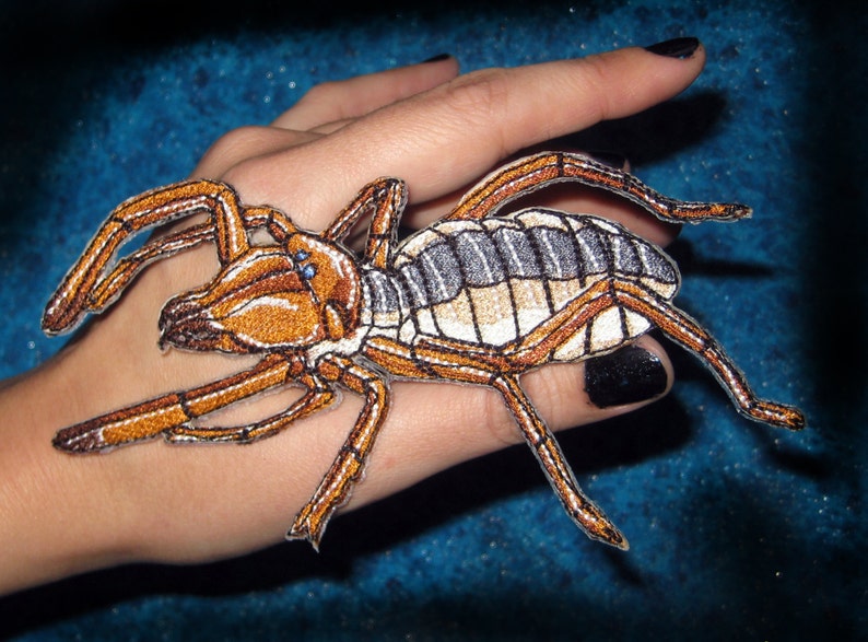 Solifugae Camel Spider Wind scorpions Sun spider Iron on Patch image 1