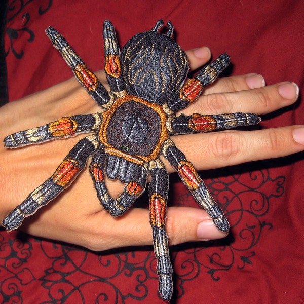 Tarántula mexicana de rodillas rojas Brachypelma smithii, parche termoadhesivo estilo steampunk de araña Brachypelma hamorii