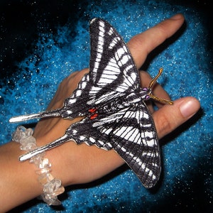 May include: A black and white butterfly with red accents is held in a hand against a blue background with white speckles. The butterfly has a long, thin body and large, delicate wings.