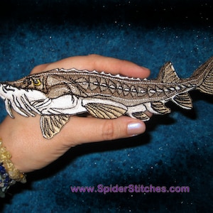 May include: An embroidered patch depicting a sturgeon fish in brown and white. The patch features a white underbelly and brown scales, with a long snout and a row of small teeth. The patch is held in a hand against a blue background.
