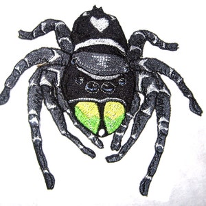 Może przedstawiać: Haftowana naszywka z pająkiem z czarnym korpusem, białymi akcentami i zielonymi oczami. Pająk ma wzór w kształcie serca na plecach. Naszywka nadaje się do odzieży lub akcesoriów.