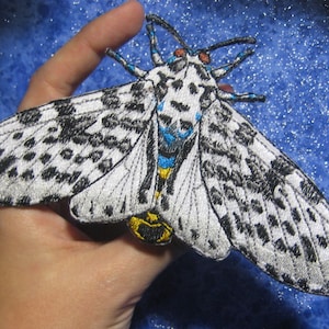 Giant Leopard Moth Eyed Tiger Moth Hypercompe scribonia Iron on Patch
