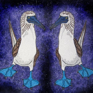 May include: Two blue-footed boobies facing each other against a purple and black starry background. The birds have brown and white feathers and blue feet.