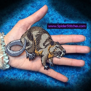 Nutria Rat Myocastor coypus  Iron on Patch