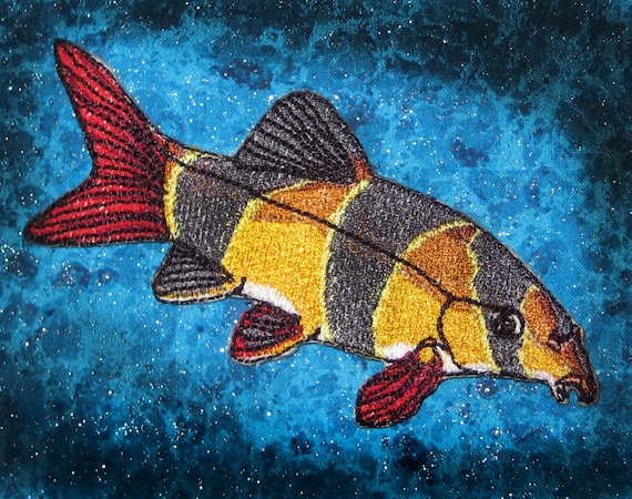 loach pendant