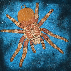 May include: A brown and orange spider with long legs embroidered on a blue background. The spider has a detailed design with intricate lines and patterns.