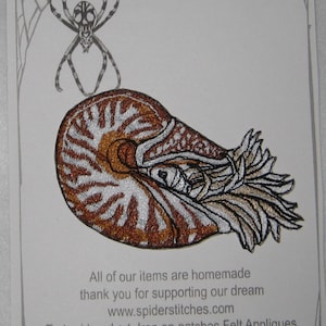 Chambered Nautilus Nautilus pompilius Iron on patch or Sew on Patch cephalopod Shell image 3