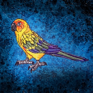 May include: A yellow and green parrot with a blue tail, perched on a branch against a blue starry background.