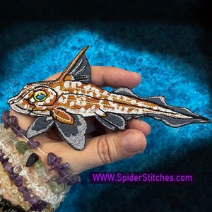 Chimaera Pesce ratto maculato Ferro su Patch Hydrolagus colliei mare profondo