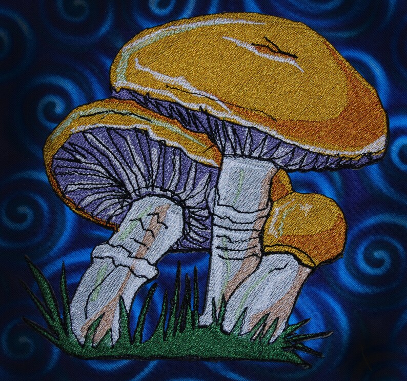 Lovely Boletus edulis Mushroom penny bun porcino cep Iron on Patch image 1