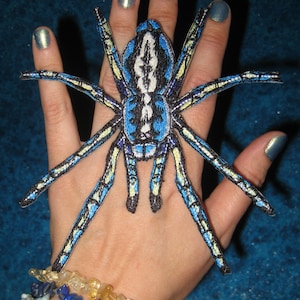 Epic Poecilotheria Metallica Tarantula Gooty Sapphire Ornamental Tree Spider Blue Iron on Patch