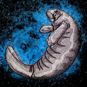 May include: A gray embroidered manatee on a blue and black galaxy-like background.