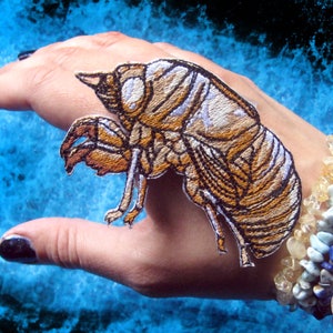 Awesome Cicada Shell  insect iron on Patch