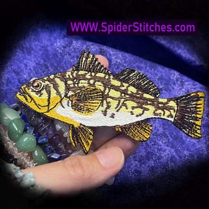 Puede incluir: Parche bordado de un pez amarillo y marrón con escamas y aletas detalladas. El parche tiene un borde blanco y está sobre un fondo azul. El texto "WWW.SpiderStitches.com" es visible.