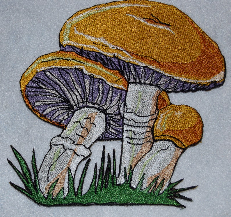 Lovely Boletus edulis Mushroom penny bun porcino cep Iron on Patch image 2