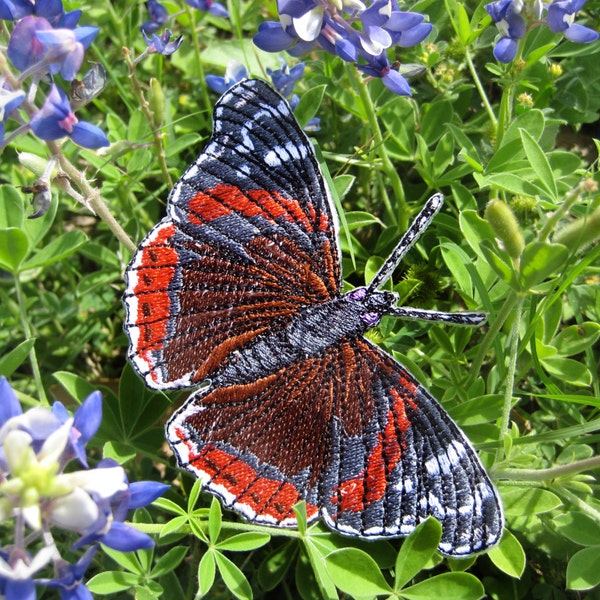 Red Admiral Butterfly Vanessa atalanta Iron on or sew on Patch