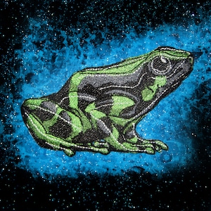 May include: A green and black frog with a glittery finish, embroidered on a blue and black galaxy-like background.