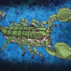 May include: Green embroidered scorpion with glitter details on a blue background.