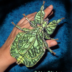 Walking Leaf Insect Iron on or Sew Patch Applique Bug Patch Phyllium giganteum