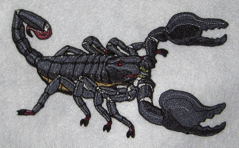 Emperor Scorpion Pandinus imperator Steam Punk Iron on Patch image 1