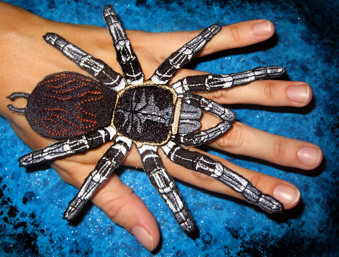 高品質！特大サイズ イングリッシュ・サラブレッド 頭骨｜高品質！特大