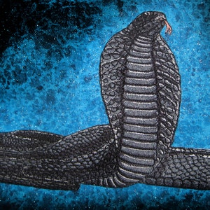 May include: A black embroidered cobra snake patch with a raised texture. The patch is on a blue background with a glittery effect.