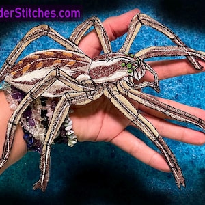 Peut inclure: Un écusson brodé en forme d'araignée, aux couleurs marron, blanc et beige, avec des yeux verts. L'araignée est tenue dans une main sur un fond bleu. L'adresse du site Web WWW.SpiderStitches.com est visible dans le coin supérieur gauche.