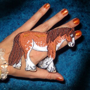 Könnte beinhalten: Ein braunes und weißes Pferd mit brauner Mähne und Schweif. Das Pferd steht auf einem blauen Hintergrund.