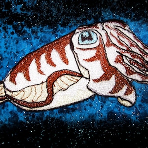 Op de afbeelding: Gestikt patch van een inktvis met bruine en witte strepen tegen een blauwe en zwarte sterrenhemel.