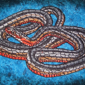 Pode incluir: Uma cobra de barriga vermelha com listras pretas e marrons está enrolada em um fundo azul com textura brilhante.