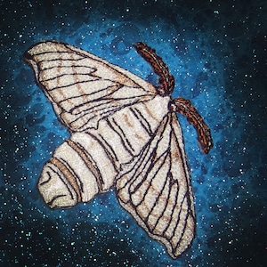 Può includere: Una falena bianca e marrone con intricati motivi sulle ali è ricamata su un tessuto blu scuro con un motivo di notte stellata.