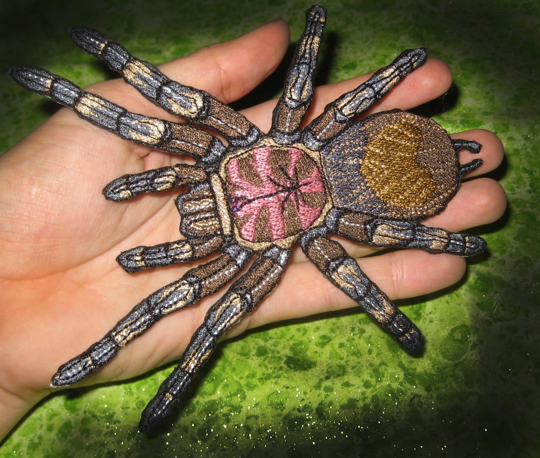 Chilean Rose Hair Tarantula Grammostola Rosea Spider Iron on - Etsy