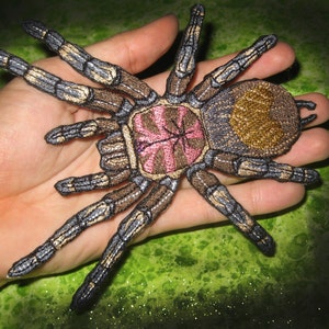 May include: A brown and black embroidered tarantula patch with a pink abdomen and gold accents. The patch is approximately 5 inches wide.
