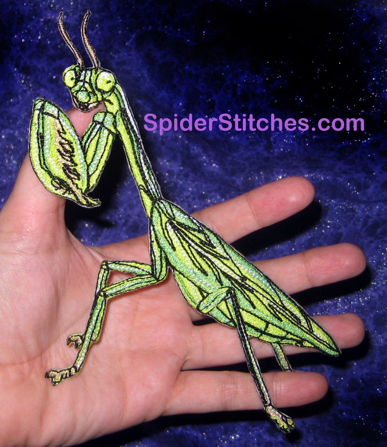 Chinese praying mantis Tenodera sinensis Iron on Patch Insect patch