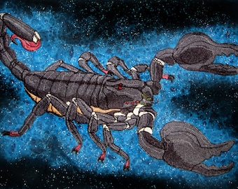OGROMNY Skorpion Cesarski Pandinus imperator Żelazko na Łacie