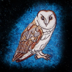 Peut inclure: Un hibou des granges blanc et brun sur un fond bleu foncé étoilé. Le hibou est perché, les ailes repliées et la tête tournée sur le côté.