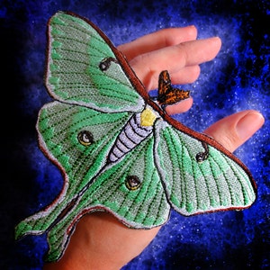 May include: A green and brown embroidered patch of a luna moth with intricate details. The moth is on a hand against a blue background.
