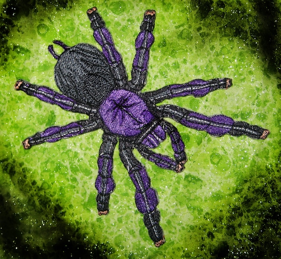 Avicularia purpurea タランチュラ パープル ピンクトゥ スパイダー