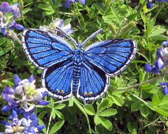 Eastern Tailed Blue Butterfly Cupido comyntas Iron on or sew on Patch