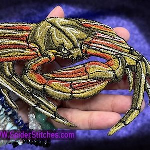 Epic Shield back Kelp Crab Iron on Patch patchs vie marine crustacés crabes de plage