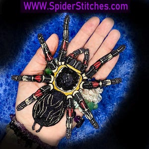 May include: A black and red embroidered spider patch with yellow accents. The spider is shown on a hand with a blue background.