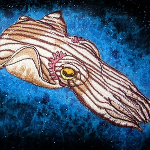 Op de afbeelding: Een bruin en wit gestreepte sepia met een geel oog en roze accenten is geborduurd op een blauwe achtergrond. De achtergrond lijkt op een galaxie met witte sterren.