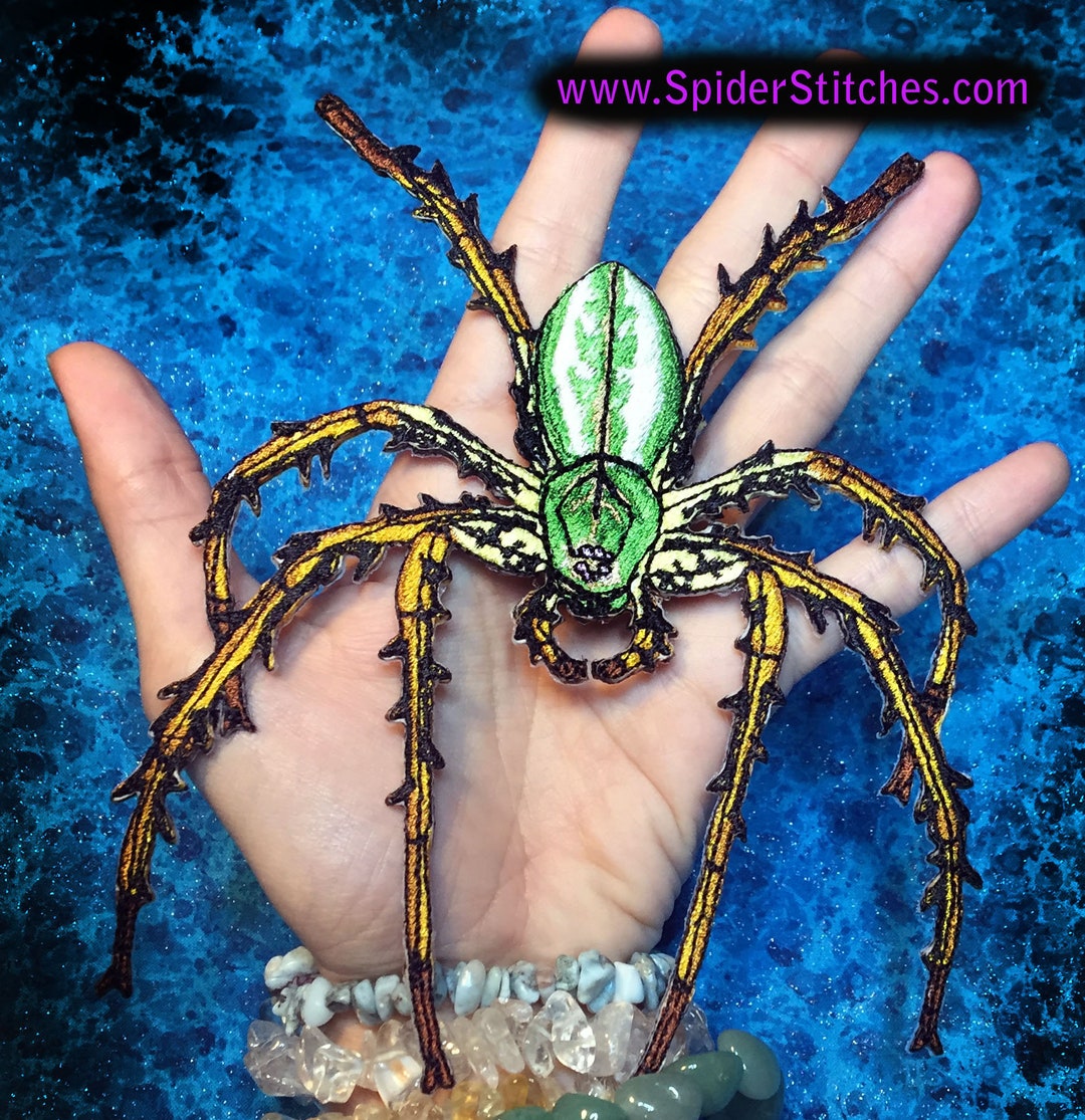 Green Lynx Spider Punk Iron on Patch Arachnid Peucetia Viridans
