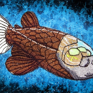 Glowing Deep Sea Barreleye Spook fish Macropinna microstoma  Iron on Patch