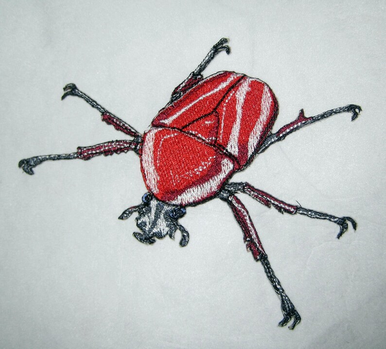 Red African Flower Scarab Beetle Dicronorhina derbyana layardi Steam Punk Iron on Patch image 2