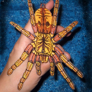 May include: An embroidered spider patch in yellow and brown, featuring eight legs. The spider is realistically designed with a detailed body.